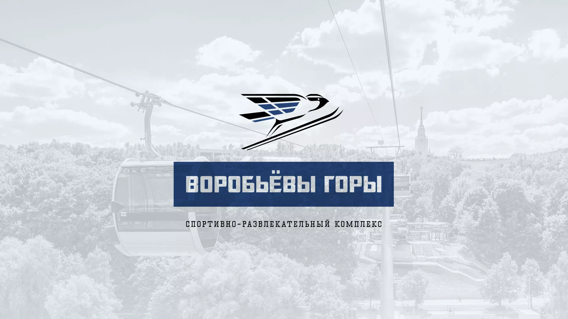 Разработка сайта в Советске для спортивно-развлекательного комплекса «Воробьёвы горы»